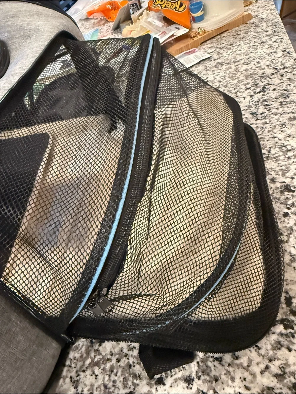 Pet  carrier Gray and Light Blue Soft-Sided Pet Carrier with Removable Strap